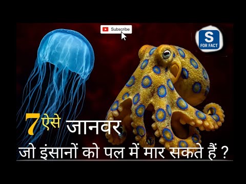 खूंखार 7 जानवर जो इंसानों को पल में 💀मार सकते हैं!😱देख kr हैरान रह जाओगे । #viralvideo #amazingfacts