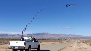 Ballistically Launched Aerial Multirotor Drone