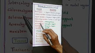 👍Neet|REVISE |imp MCQ'S |ANATOMY of flowering plants|Neet most important MCQS|EASY|#shorts #neet