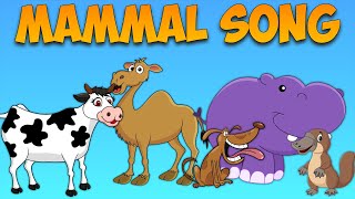 The Mammal Song