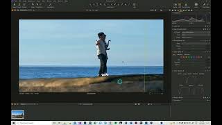 Capture One Object removal