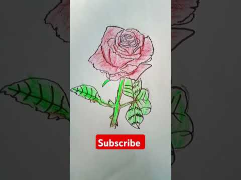 Rose for you #shorts_video #art