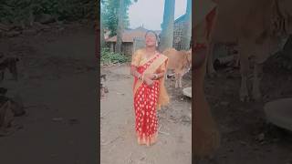 patar kamariya kare lapalap ge#tytshorts #nagpurisong#shortfeed#viralshorts 💃😛♥️🙏 pelliz👍subscribe .