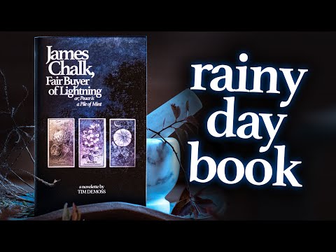 a book you can read in an afternoon (also I wrote it)
