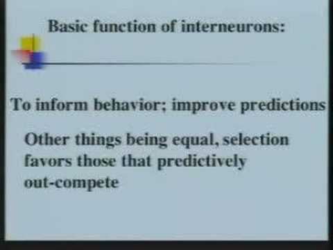 Part 1 - The Open Questions In Neuroscience