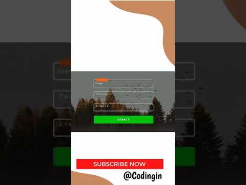create Animated input Using Html and Css