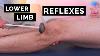 Reflexes of the Lower Limbs | OSCE Clip | UKMLA | CPSA | PLAB 2