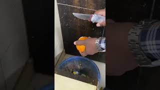 Orange Stuffed Kulfi || Kuremal Kulfi, Chawri Bazar || Old Delhi