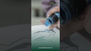 Best Route for New Authors: Book Publishers or Self-Publishing?