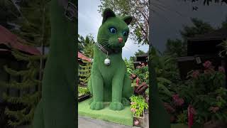 This cat is really alive! 🥰 #funny #cats #catvideos #tiktok  #social #usafunny #catlovers #funpage