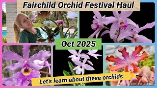 Orchid Festival @fairchildgarden  Haul / Let’s learn about these new orchids 