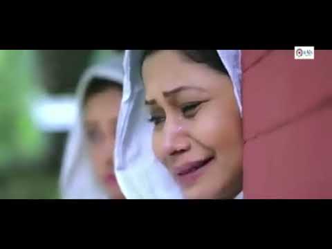 Vairal করে দিন❤️☺️