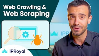 Web Crawling vs. Web Scraping | Everything You Need to Know