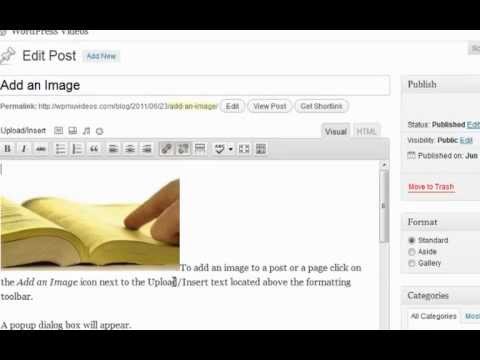Adding an Image From The Media Library