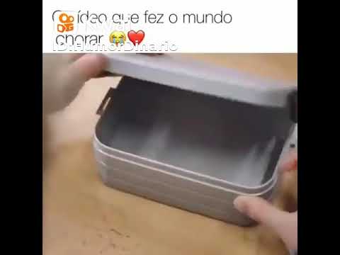 27 de março de 2021