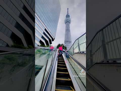 Escalator trend but in Japan 🥰 #japan #escalator #trendingshorts #japantravel #visitjapan #travel