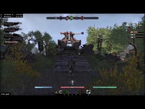 Stam Warden bgs with Wyatt