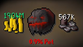 This is how I achieved one of the rarest pets in Runescape (#4)