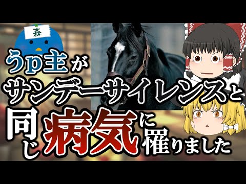 うｐ主、サンデーサイレンスと同じ病気に罹る【ゆっくり解説】フレグモーネ（蜂窩織炎）【競馬】