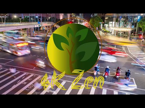 At The Speed Of Life (Episode 2)