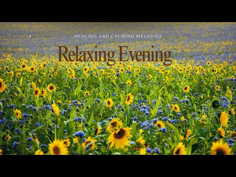 Relaxing Evening 🌸 Music for Relaxing, Healing & Calming - Relax Your Mind & Improve Sleep
