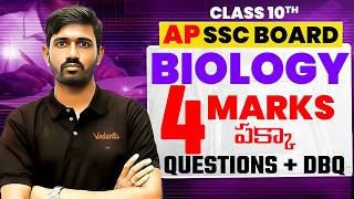 4 Marks Pakka Questions 🔥 | Important Diagram Based Questions + DBQ | Class 10 AP SSC Board 