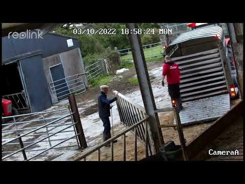 Working on the farm