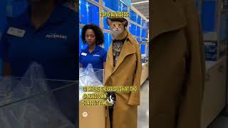 Top 5 AI Videos 🤖🎬✨  #ai #aicomedy #aimeme #comedy #funny #aimemes