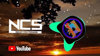 Vizzen & Protolizard - Heaven Know [NCS Release ] @indo_dj_ncs