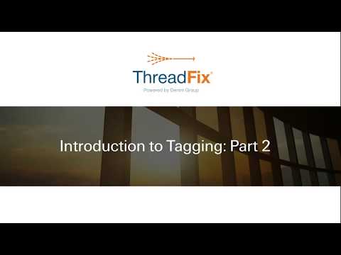 ThreadFix Introduction to Tagging Part 2- Software walk-through video.