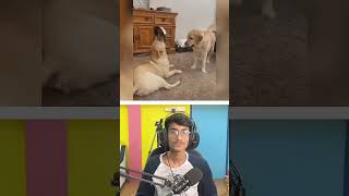 #futuretech #aidigitalmarketing #aiinfluencer #realmakingai #techinfluencer