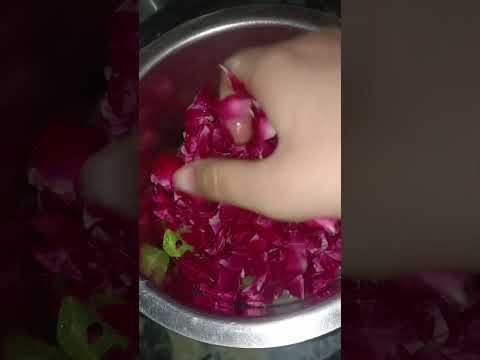 Homemade rose syrup ❤️🥰🍷🍹||Yummy recipe#shortsfeed #homemaderosewater#trending #viralvideo#yt