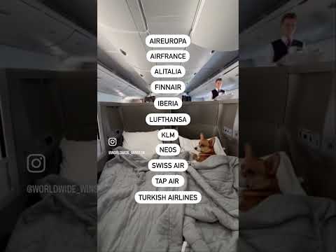 Airlines that allow pets in cabin #pets #dog #dogshorts #travel #dogtravel #pettravel #cattravel