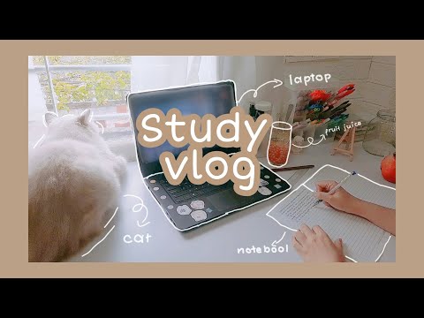 STUDY VLOG// Một tuần học online của mình (A rainy week, study hard)