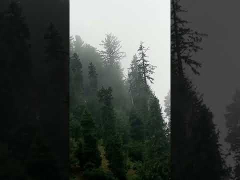 #jammukashmir #kashmir #phalgam #jammukashmir