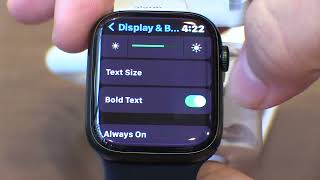 Accessibility Features | Apple Watch Visibility