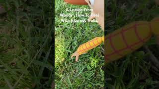 A Lesson From Woody How To Deal With Internet Trolls #toystory #disney #pixar #trolls #touchgrass