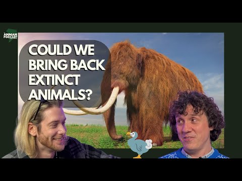 🧬 Could We Bring Back Extinct Animals? | Lightsabers, Migration & Movie Sounds Explained – ANMAN #11