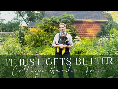 What We Had To Fix In Our Cottage Garden | It Just Gets Better