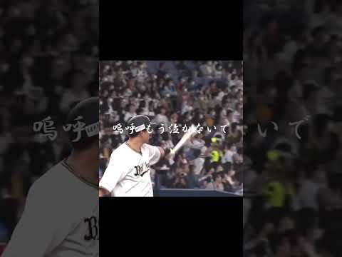 オリックス×拝啓少年よ#プロ野球 #オリックスバファローズ #拝啓少年よ #shorts