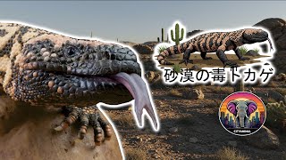 ギラモンスター | 動物ドキュメンタリー