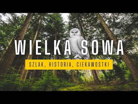Zdobywam WIELKĄ SOWĘ – Relacja z Górskiej Wędrówki