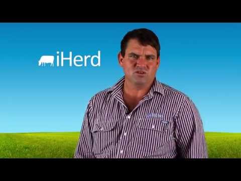 iHerd 3 Introduction HD