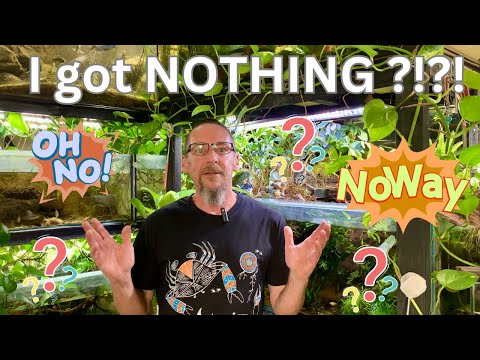 I got NOTHING this week but surprises !