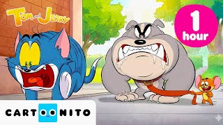 Greatest PRANKS Ever! | Peak Tom & Jerry 1-Hour Marathon | Cartoonito
