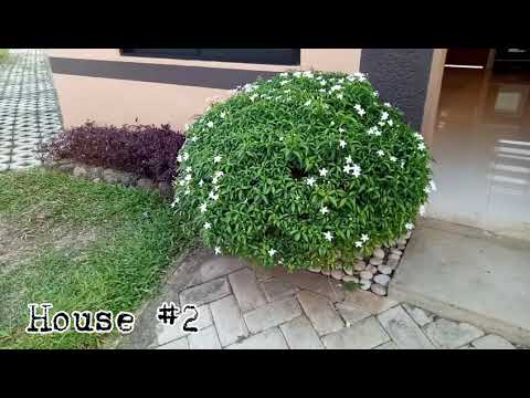 My Dream House l Ideal ft. Bria Homes