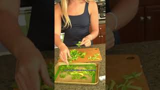 Don’t waste celery leaves - make celery salt! #shorts
