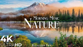 Nature 4K • Morning Calm | Relaxation Film | Soft Piano & Forest Sounds