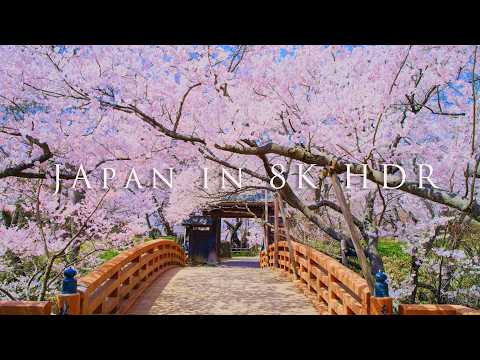 Japan in 8K HDR