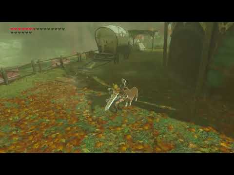 dog :D [BOTW]
